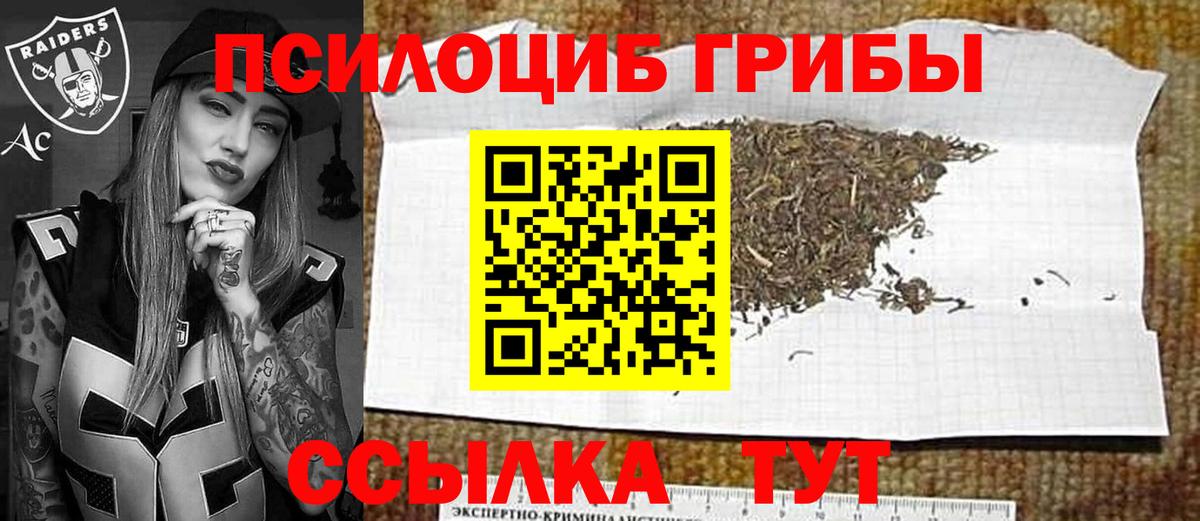 Галлюциногенные грибы Psilocybine cubensis Железноводск
