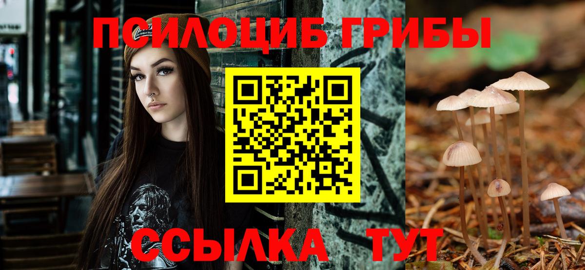 где найти   Вход с VPN  Железноводск  Галлюциногенные грибы GOLDEN TEACHER 
